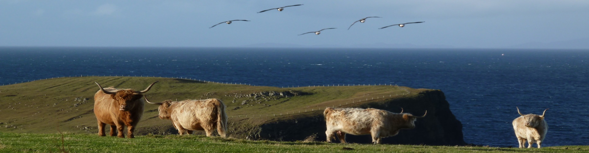 self catering ullapool scotland
